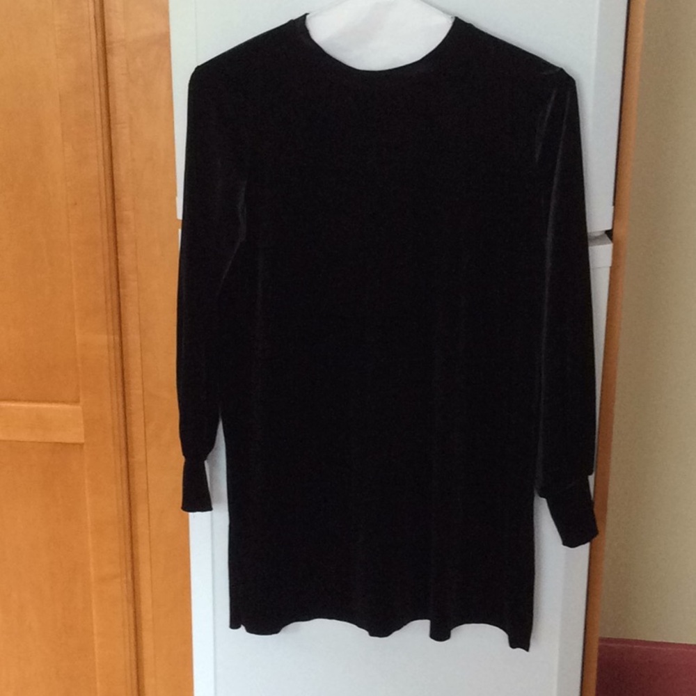 Velvet Sweatshirt Style Dress Tunic
